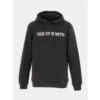 Sweat à Capuche David Logo Basique Noir Homme - Teddy Smith