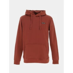 Sweat à Capuche Nark Bordeaux Homme - Teddy Smith