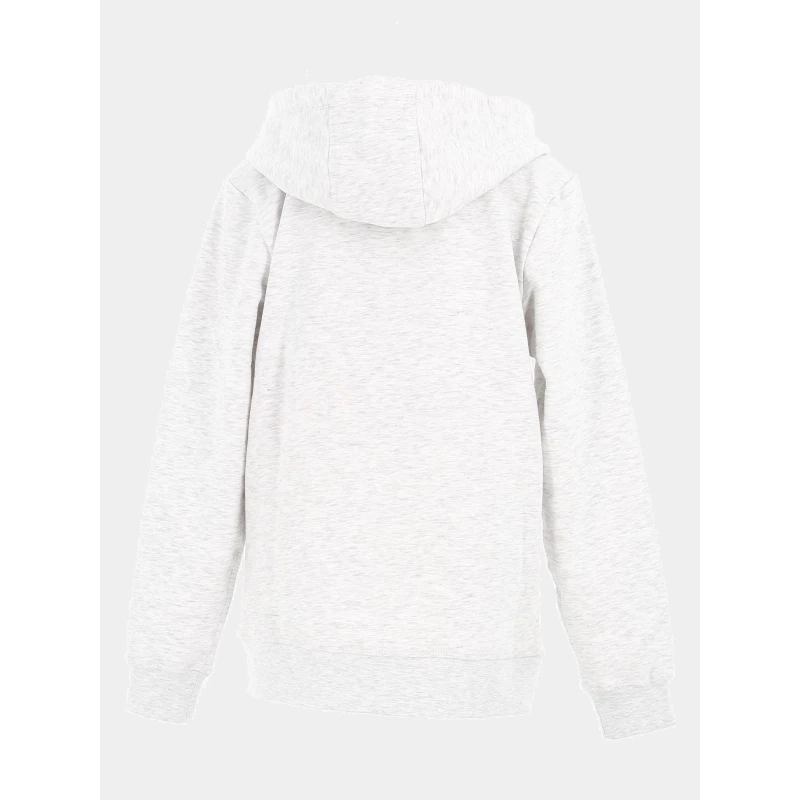 Sweat à Capuche Nark Gris Enfant - Teddy Smith 5 Sweat à Capuche Nark Gris Enfant - Teddy Smith – Image 3