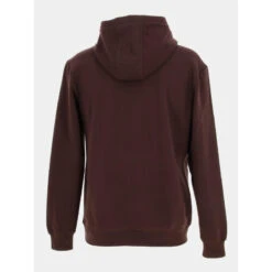 Sweat à Capuche Nark Marron Homme - Teddy Smith -spartoo shop sweat a capuche nark marron homme teddy smith 2