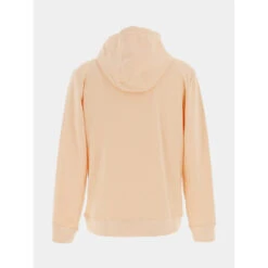 Sweat à Capuche Nark Rose Homme - Teddy Smith -spartoo shop sweat a capuche nark rose homme teddy smith 1