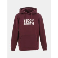 Sweat à Capuche Siclass Bordeaux Homme - Teddy Smith