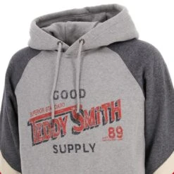 Sweat à Capuche Sid Gris Homme - Teddy Smith -spartoo shop sweat a capuche sid gris homme teddy smith 2
