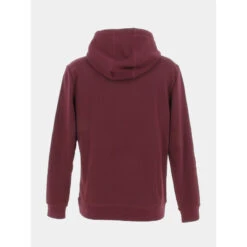 Sweat à Capuche Snark Bordeaux Homme - Teddy Smith -spartoo shop sweat a capuche snark bordeaux homme teddy smith 1