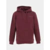 Sweat à Capuche Snark Bordeaux Homme - Teddy Smith -spartoo shop sweat a capuche snark bordeaux homme teddy smith