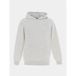 Sweat à Capuche Snark Gris Garçon - Teddy Smith