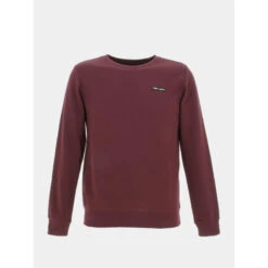Sweat Nark Bordeaux Enfant - Teddy Smith