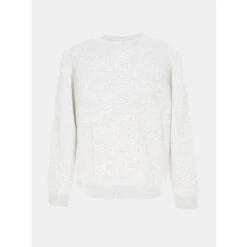 Sweat Snark Gris Homme - Teddy Smith -spartoo shop sweat snark gris homme teddy smith 1